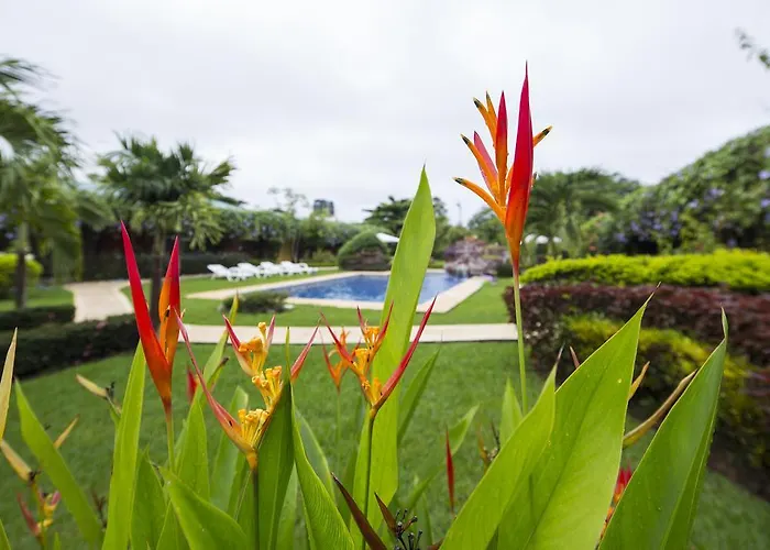 Apartamento Playa Potrero (Guanacaste)