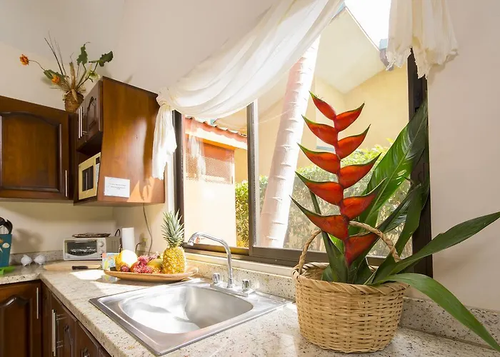 Apartamento Playa Potrero (Guanacaste)
